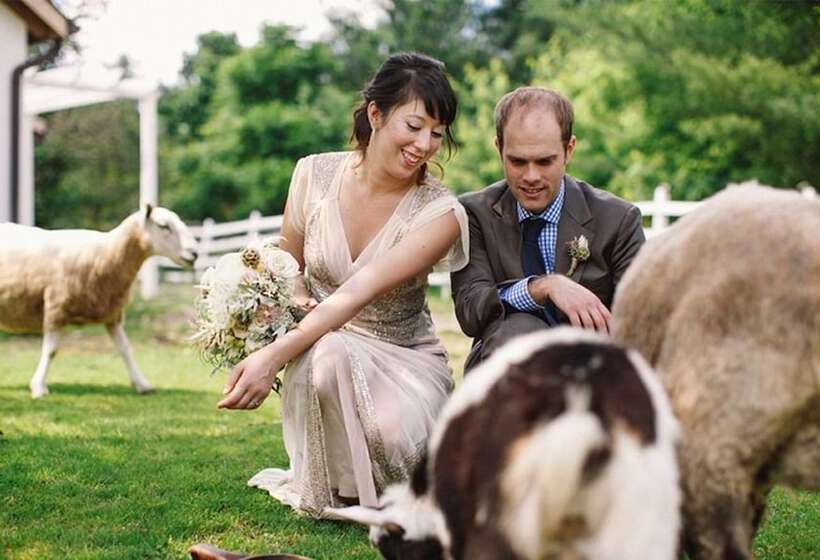 Ash Mill Farm Bed & Breakfast