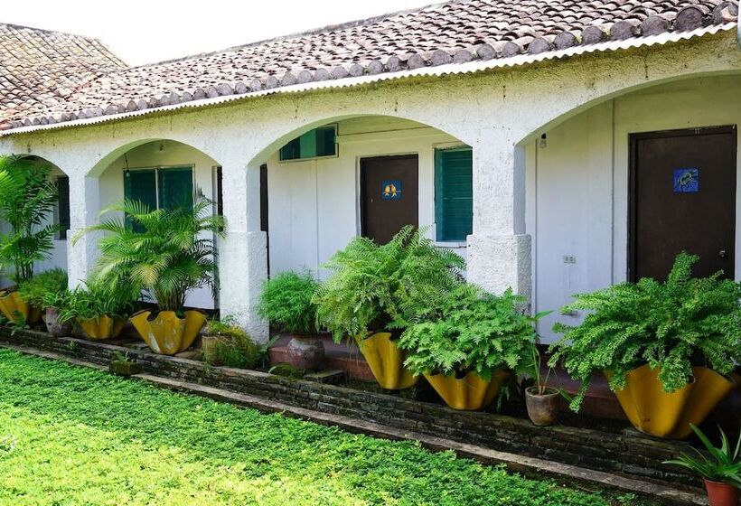 تختخواب و صبحانه El Arca De Noé Lodging