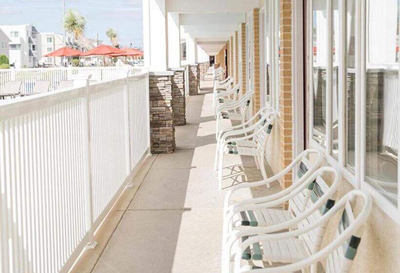 فندق Desert Sand Resort