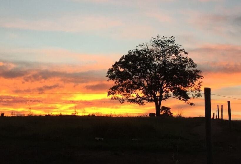 ホテル Fazenda Cana Verde
