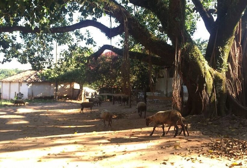 ホテル Fazenda Cana Verde