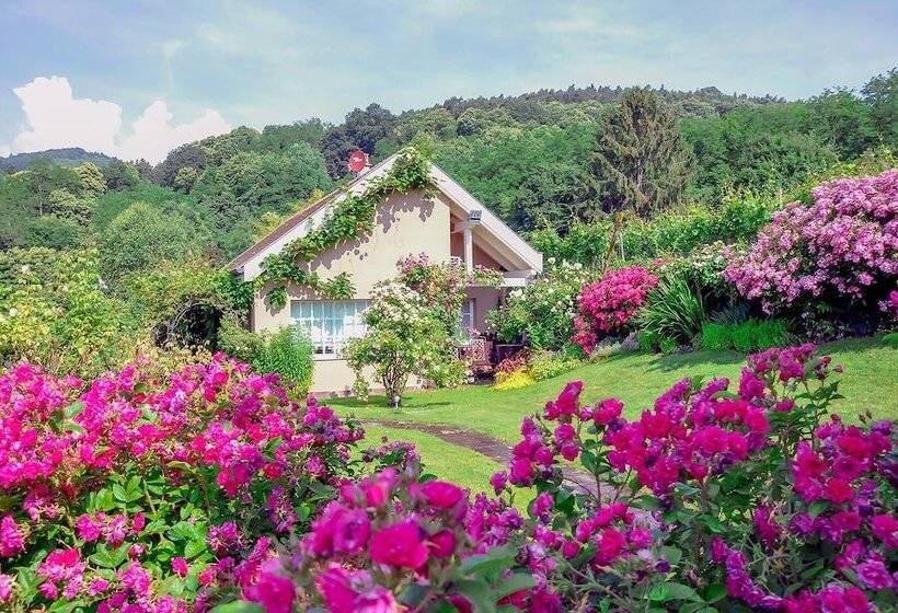 پانسیون Le B. Cottage