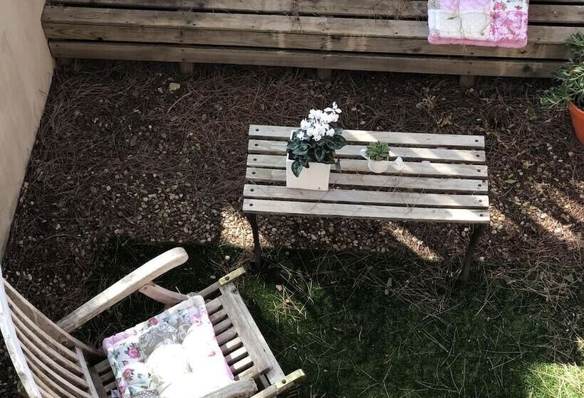 بنسيون Navynet