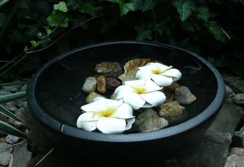 پانسیون Penzion Exotic