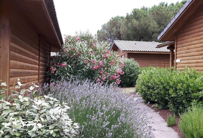 اقامتگاه Les Hauts De Baldy