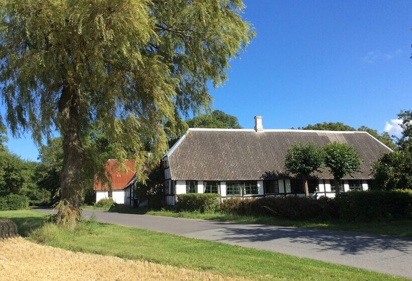 Askø Mejeri   B&b