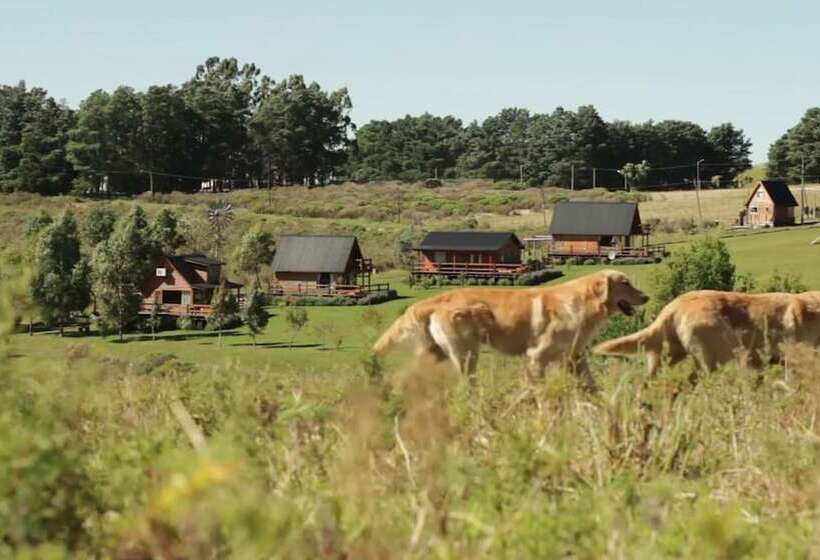 Cabañas Valle De Los Ciervos