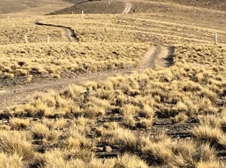 Cabanas Inca Roca