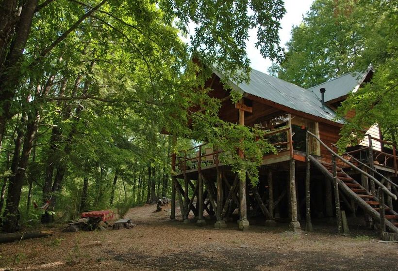 Casa Alto Palguin Pucón