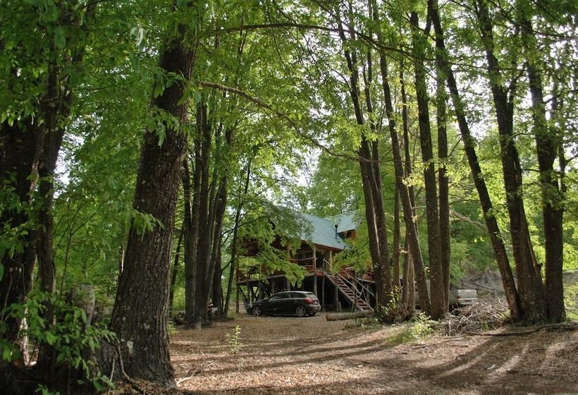Casa Alto Palguin Pucón