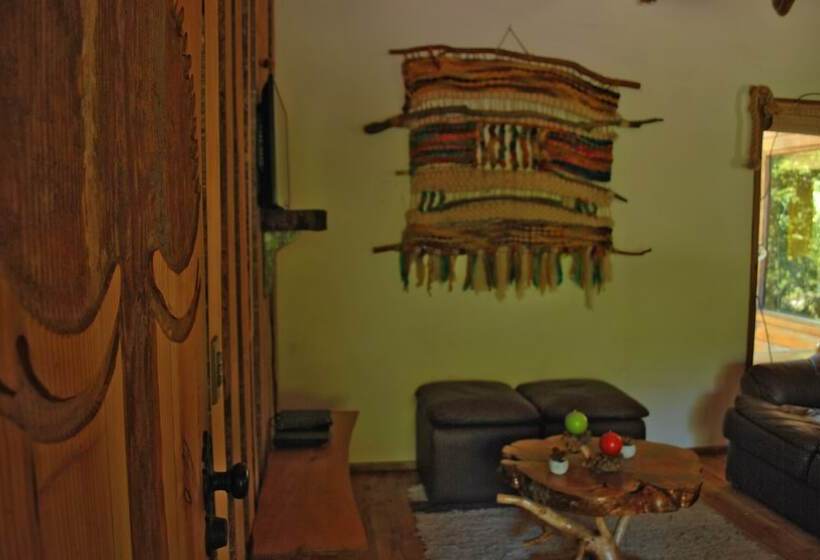 Casa Alto Palguin Pucón