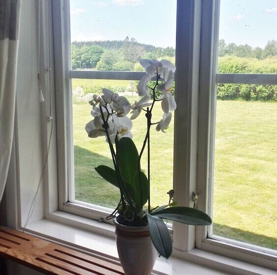 Gårdsdröm B&b