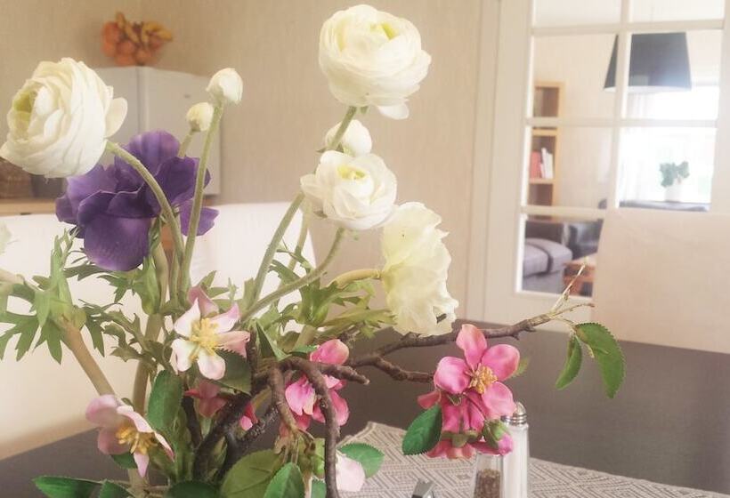Gårdsdröm B&b