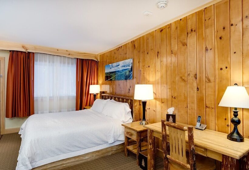 Отель Adirondack Spruce Lodge