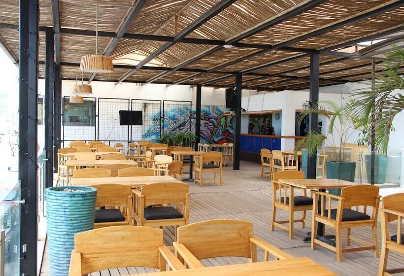 هتل City Plaza Salinas