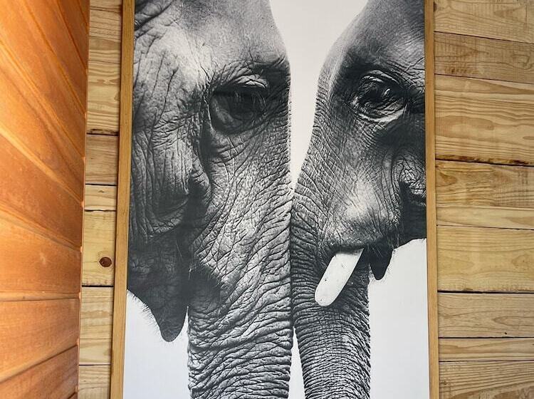 هتل Isilimela Game Lodge
