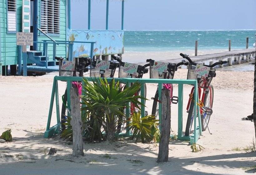 בית מלון כפרי Rainbow