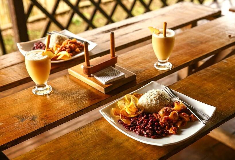 فندق Tapir Lodge