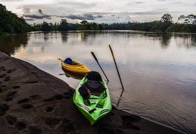 فندق Tapir Lodge