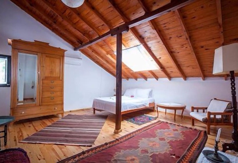 هتل Turk Evi
