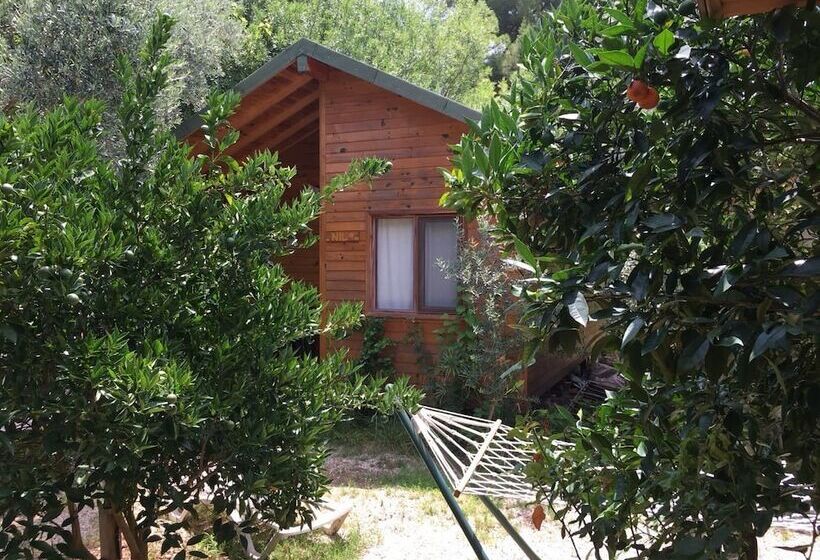 هتل Bungalow Halil