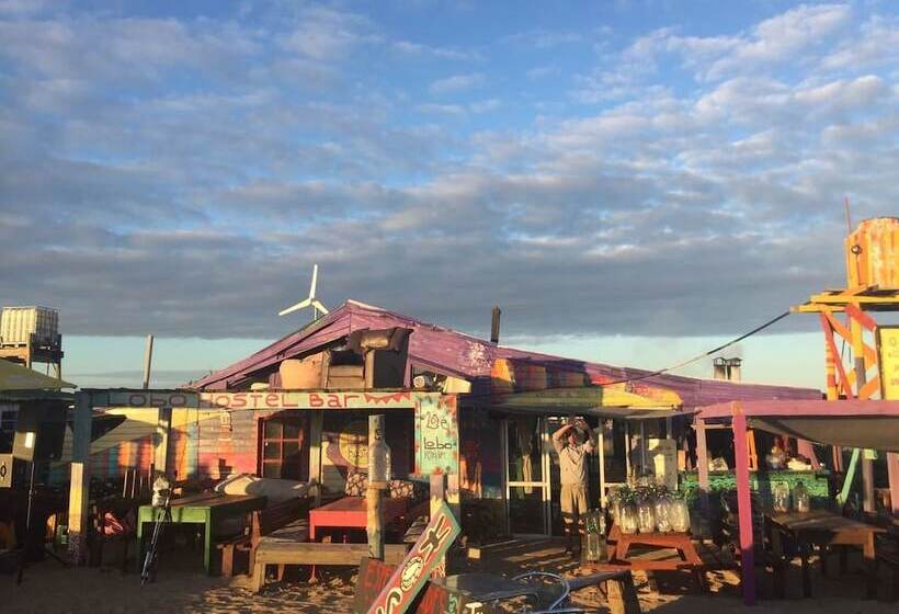 Lobo Hostel Bar
