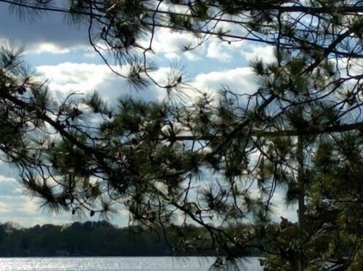 פנסיון Lake Ripley Lodge W Lake Front Rooms, Grand Porch, Kayaks & Paddleboard