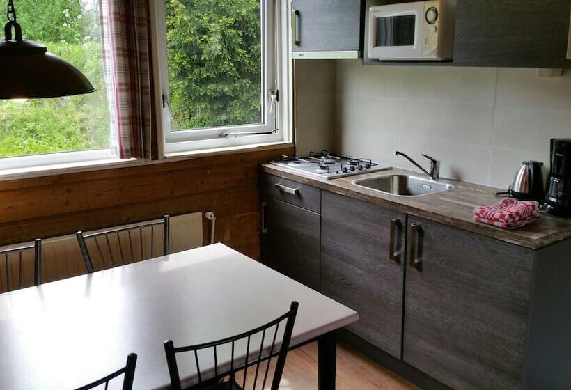 リゾートホテル Vakantiepark Eigen Wijze