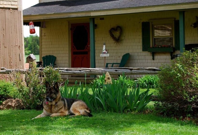 Bugaboo Cottages
