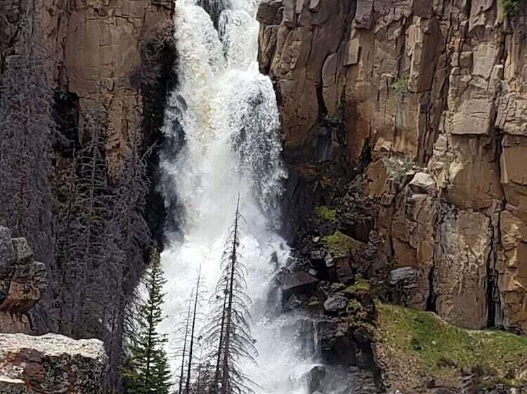 Chinook Cabins & Rv Park