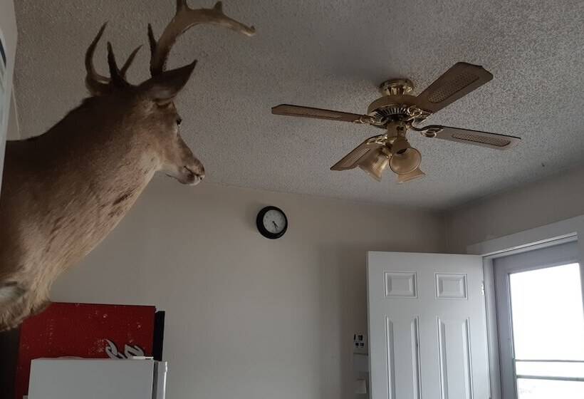 Отель Deerhead Inn
