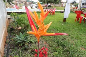 هتل Flor De Pequi Pousada
