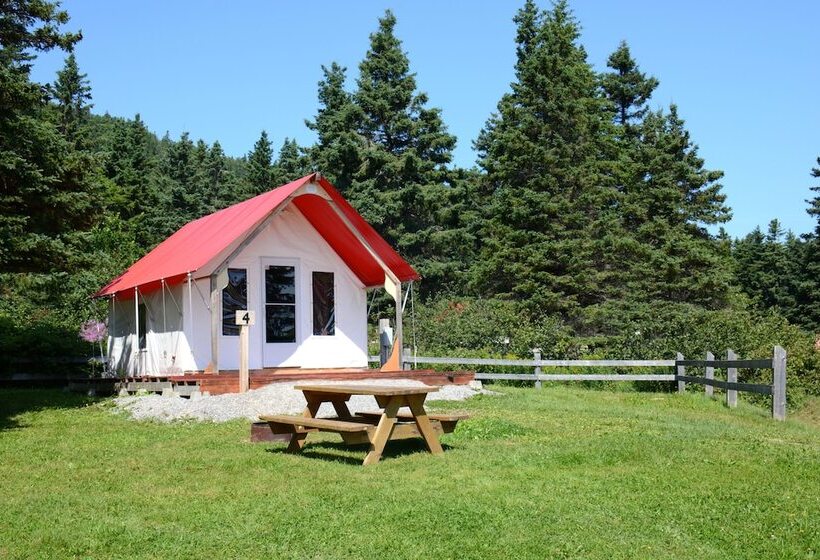 هتل Maisonnettes Camping De La Baie De Perce