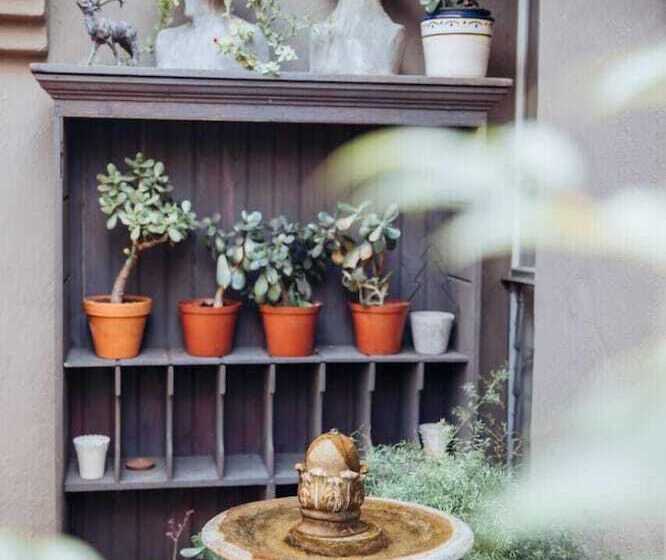 פנסיון Frankfort De Wilge Guesthouse