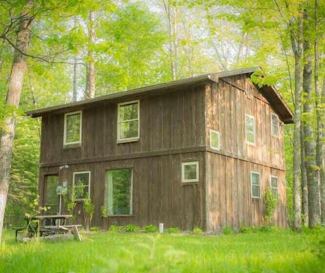 Shire In The Woods