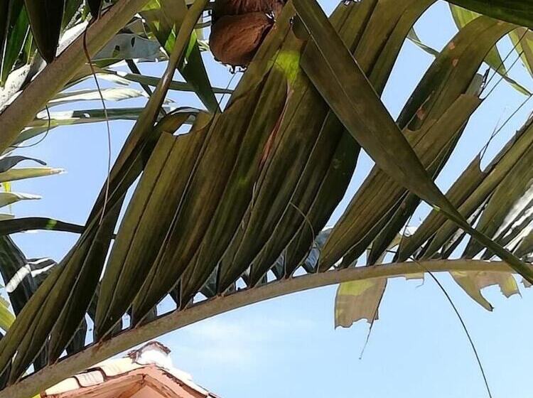 تختخواب و صبحانه Casa Juana