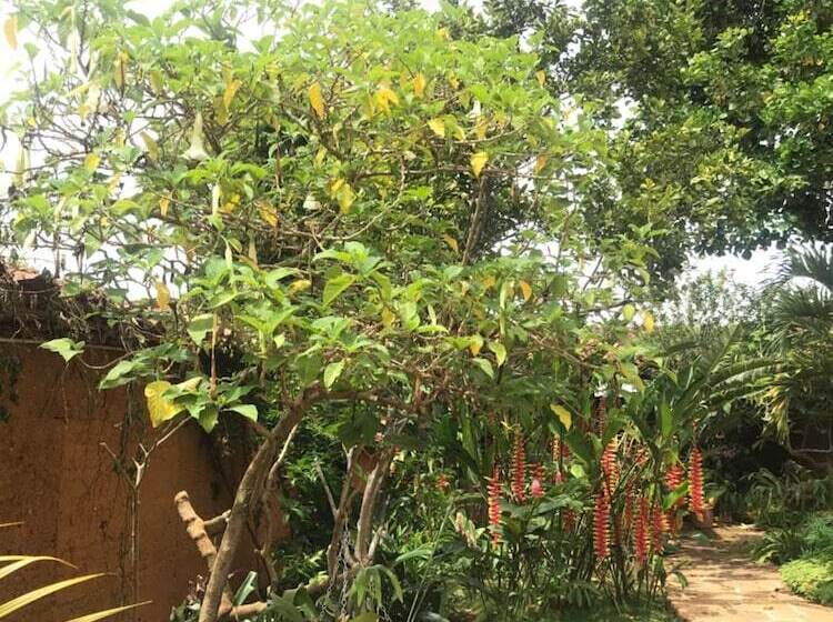 تختخواب و صبحانه Casa Juana