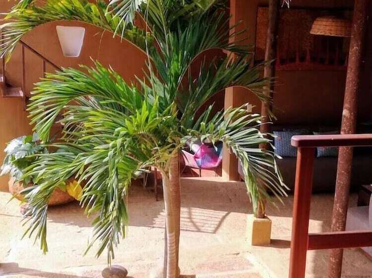 تختخواب و صبحانه Casa Juana