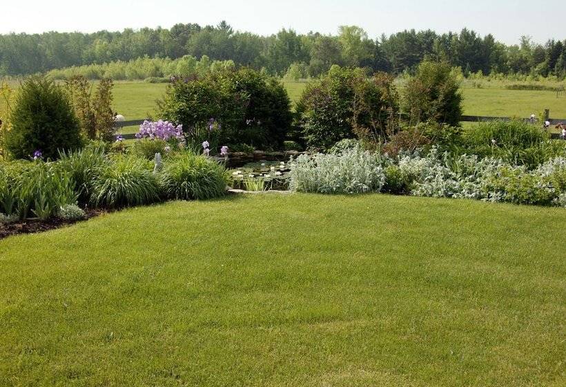 تختخواب و صبحانه Chanticleer Guest House