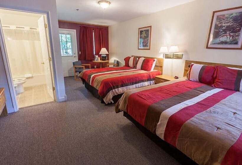 هتل Maggie Valley Creekside Lodge