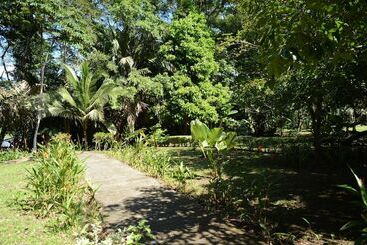 هتل Tortuguero Jungle
