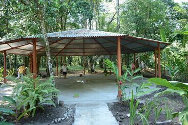 هتل Tortuguero Jungle