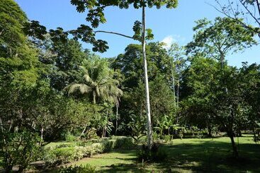 هتل Tortuguero Jungle