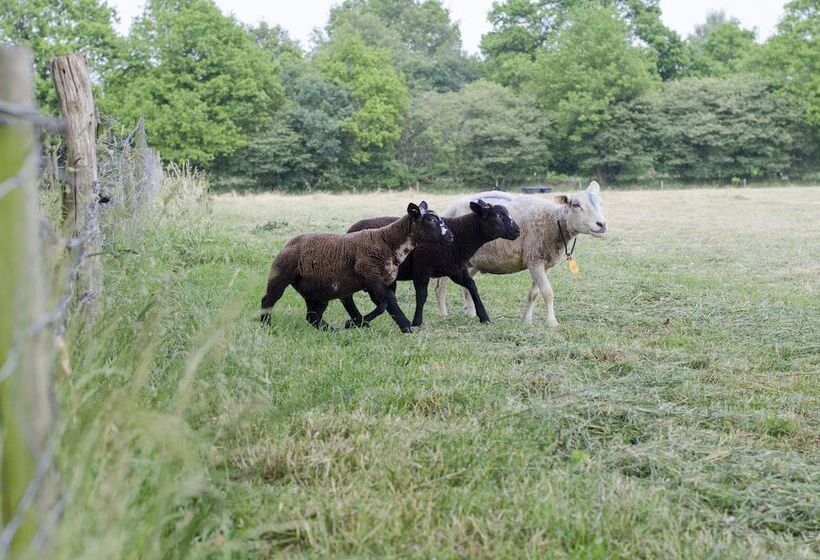 Landhotel Diever
