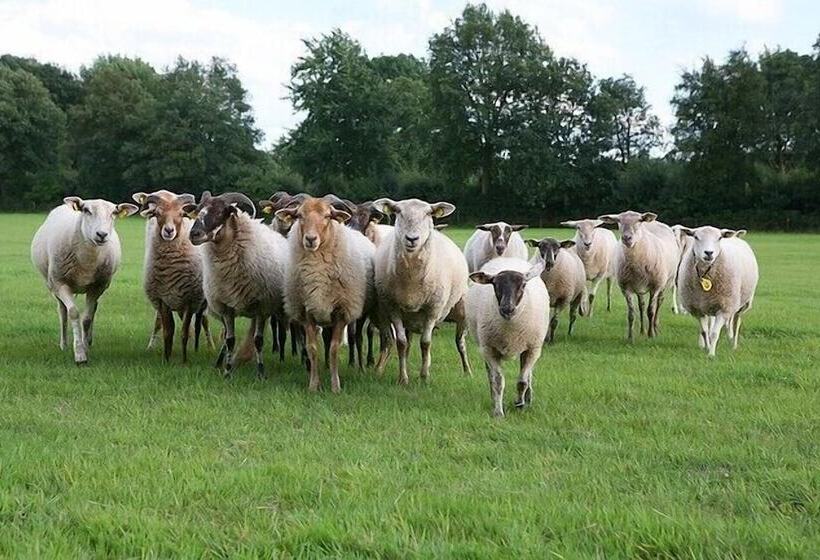 Landhotel Diever