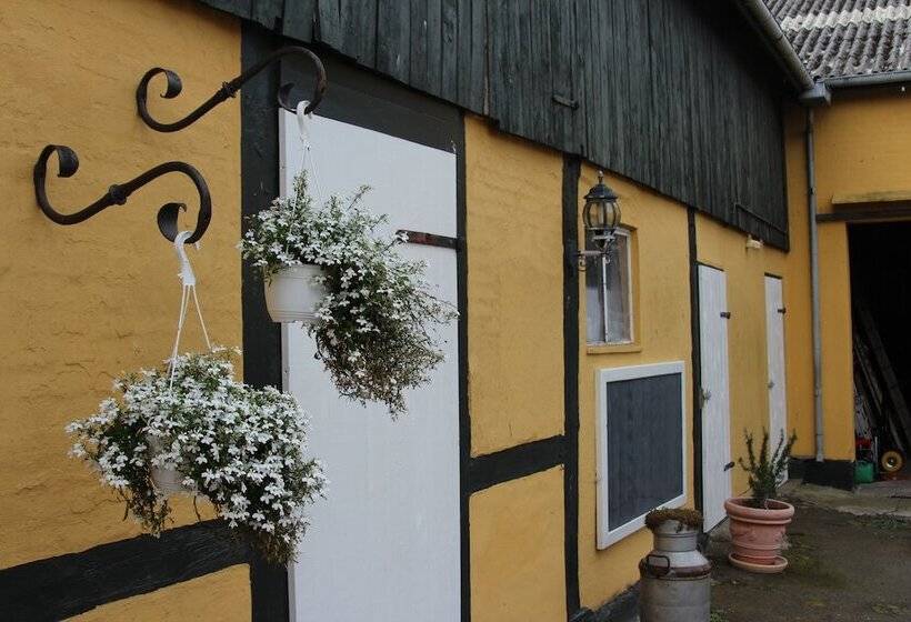 Myregaard B&b & Apartments