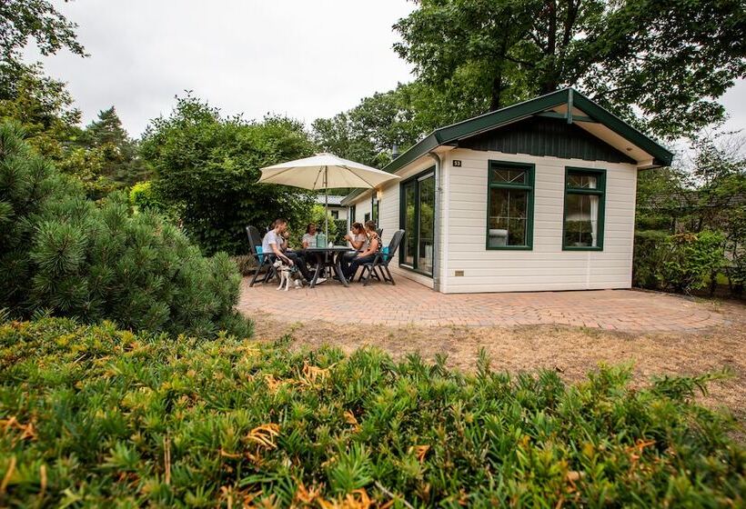 리조트 Topparken – Recreatiepark ’t Gelloo