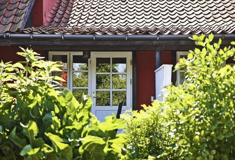 Rosengaarden Hostel