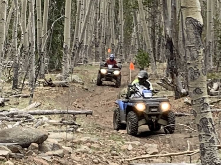 South Fork Lodge & Rv Park