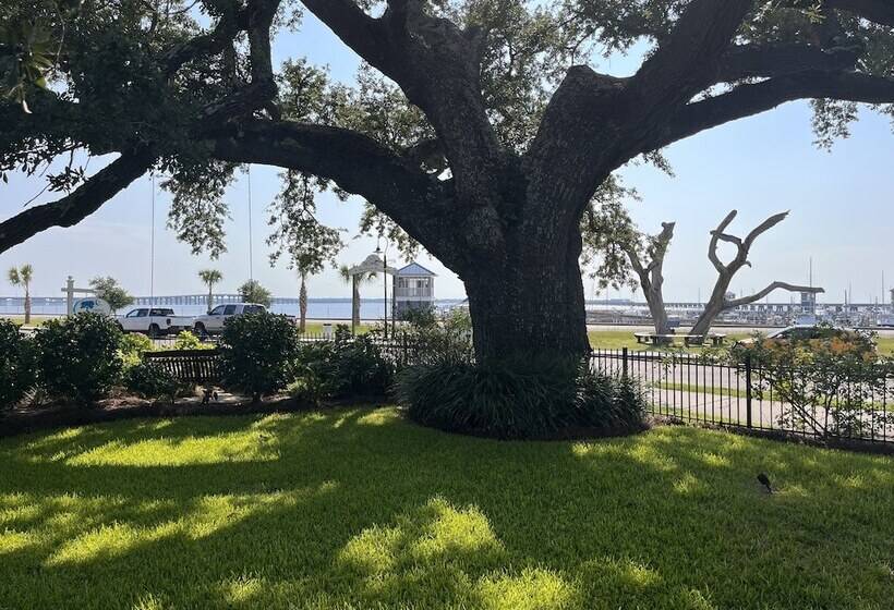 בית מלון כפרי Bay Town Inn